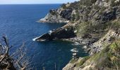 Tocht Stappen Hyères - Sentier du littoral de Giens - Photo 6