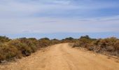 Trail Walking Municipal Unit of Kythira - Vers le phare de Moudari - Photo 6