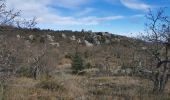 Trail Walking Mazaugues - Plateau d'Agnis, au dessus de Mazaugues - Photo 7