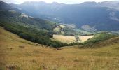 Tocht Mountainbike Le Falgoux - Le Falgoux - Pas de Peyrol - Photo 5