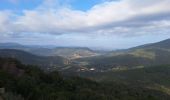 Trail Road bike Le Lavandou - bormes col canadel bormes - Photo 8