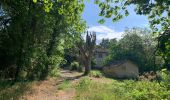 Trail Walking Rognes - Rognes virée dans les vignes sur le sentier des vignerons - Photo 4