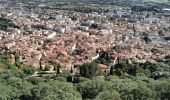 Tocht Stappen La Crau - Chapelle du Fenouillet & Château de Hyères - Photo 3