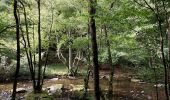 Randonnée Marche Libin - Promenade de la Lesse (8,6km)   - Photo 4