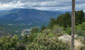 Trail Walking Vernet-les-Bains - Pic de l’Alzina - Photo 3