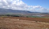 Trail On foot Gilboa Regional Council - דרך נוף שלוחת צבאים - Photo 6