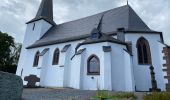 Tour Wandern Sankt Vith - McKennenbah - Photo 3