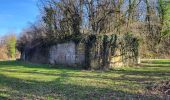 Tocht Stappen Sevenans - Randonnée des forts depuis Sévenans - Photo 4