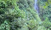 Randonnée Marche nordique Capesterre-Belle-Eau - Chute  - Photo 8