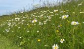 Tour Wandern Thalgau - De Wasenmoos à la Chapelle du Kolomansberg - Photo 1