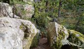 Trail Walking Fontainebleau - Sentier Denecourt 2 - Photo 11