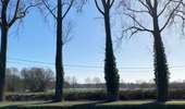 Trail Nordic walking Antoing - Peronnes - Photo 2