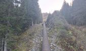 Percorso Marcia Le Haut-Bréda - Pleynet, Chalet du Gleysin les 7 laux - Photo 3