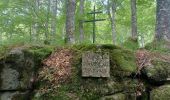 Trail Walking Saint-Chély-d'Aubrac - AVEYRON . AUBRAC . TOUR DES MONTS D AUBRAC N - Photo 3