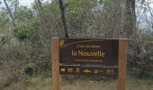 Tour Wandern La Possession - Marla par la Nouvelle du col des boeufs - Photo 2