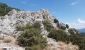 Tour Wandern Malaucène - Le cirque de Saint Amand et le Pas du Loup  - Photo 1