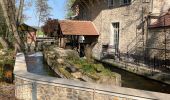 Tour Wandern Dannemois - Le moulin des noues - Photo 13