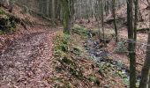 Trail Walking Sprimont - Tour de bois d'arlon  a Banneux 9Km  - Photo 2