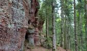 Tour Wandern Celles-sur-Plaine - celles sur plaine - Photo 9