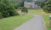 Percorso A piedi Sconosciuto - Castlewellan Forest Park - Slievenaslat Walk - Photo 6