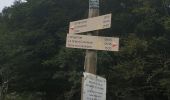 Tocht Stappen Culoz - le grand colombier - Photo 11
