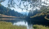 Trail Walking Seyne - SEYNES.  COL BAS . LES 3 LACS . O L S - Photo 9