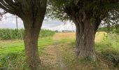 Tour Wandern Diksmuide - Blanquaart 19 km - Photo 4