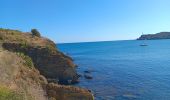 Tocht Stappen Port-Vendres - paullile - Cap bear via la mer retour via les vignes  - Photo 19