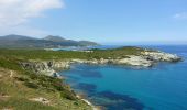 Randonnée Marche Ersa - Barcaggio - Sentier des Douaniers jusqu'à la Baie de Capandola - 7.7km 180m 2h10 - 2013 06 05 - Photo 4