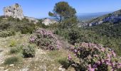 Trail Walking Saint-Rémy-de-Provence - Plateau de Caume - Photo 11