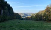 Tour Wandern Yvoir - Entre Meuse et Bocq, départ de Mont - Photo 12