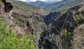 Excursión Senderismo Daluis - Gorges de Daluis - Photo 2