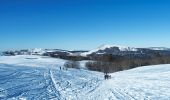 Tour Schneeschuhwandern Saint-Agnan-en-Vercors - plateau de beure - Photo 2