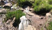 Tour Wandern Les Angles - 20220714 bollosa - refuge Camporells-lac d’Aude - Photo 8