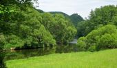 Tour Zu Fuß Gemeinde Hardegg - Thayatalweg - Photo 6