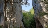 Trail Walking Villars - Les Grands  Cléments - Photo 3