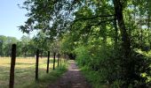 Tocht Stappen Genk - Promenade de Kattevennen  - Photo 8