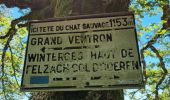 Tocht Stappen Ventron - tour dans le Ventron - Photo 11