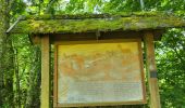 Excursión Senderismo Blumberg - Cascade Schleifenbach et gorges de Wutach - Photo 5