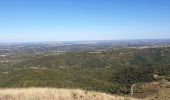 Tour Wandern Castelnou - Camelas Chapelle St Martin_T - Photo 1