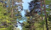 Tour Wandern Aurel - Le Pas de la Frache - Photo 1