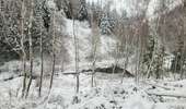 Trail Walking Tenneville - rando wyompont 11-01-2026 - Photo 5