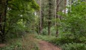 Tocht Stappen Hoei - Vallée de la Solière - Photo 8