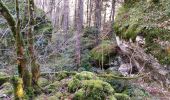 Trail Walking Nances - MONTAGNE DE L'EPINE: COTES DE NANCES - Photo 5