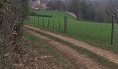 Randonnée Marche Beure - Beure de la pisseur au mercureau  - Photo 10