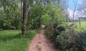Trail Walking Theux - lareid . vertbuisson . haut marais . fraineux . la reid  - Photo 2