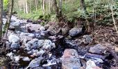 Tour Wandern Malmedy - Le pouhon des cuves   - Photo 2