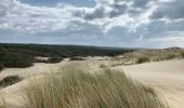 Tour Wandern Le Porge - Fifi/zot le porge ocean Nord AR - Photo 7