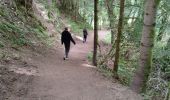 Trail Walking Laveissière - les gorges de l'alagnon  - Photo 4