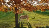 Trail Walking Voeren - entre Mouland et Fouron le Comte - Photo 4